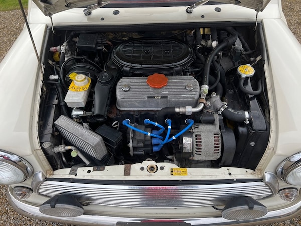 Used Rover Mini 2000 for sale - 72415050: Photo 20