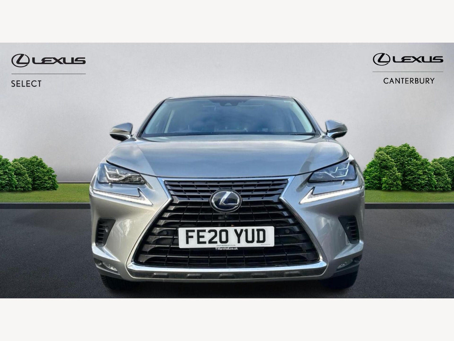 Used Lexus NX 2020 for sale - 76688986: Photo 6