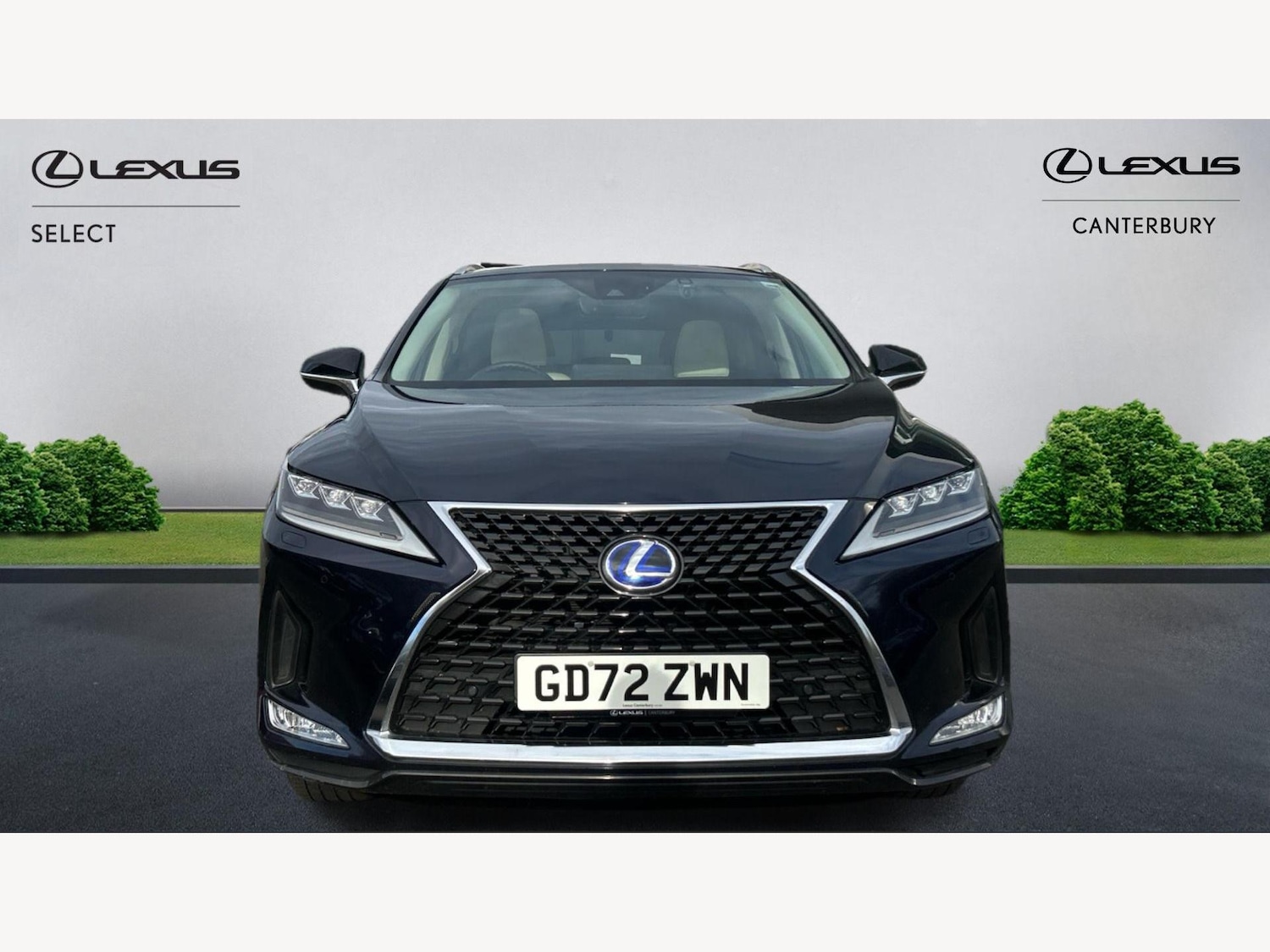 Used Lexus RX 2022 for sale - 76561943: Photo 6