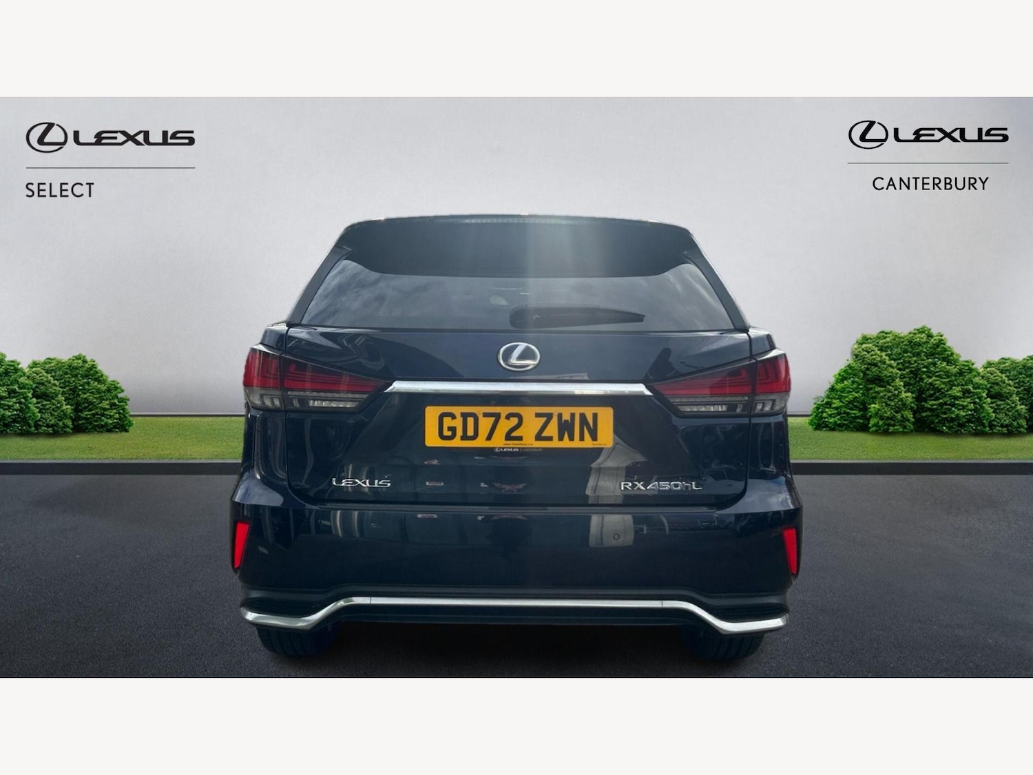 Used Lexus RX 2022 for sale - 76561943: Photo 7