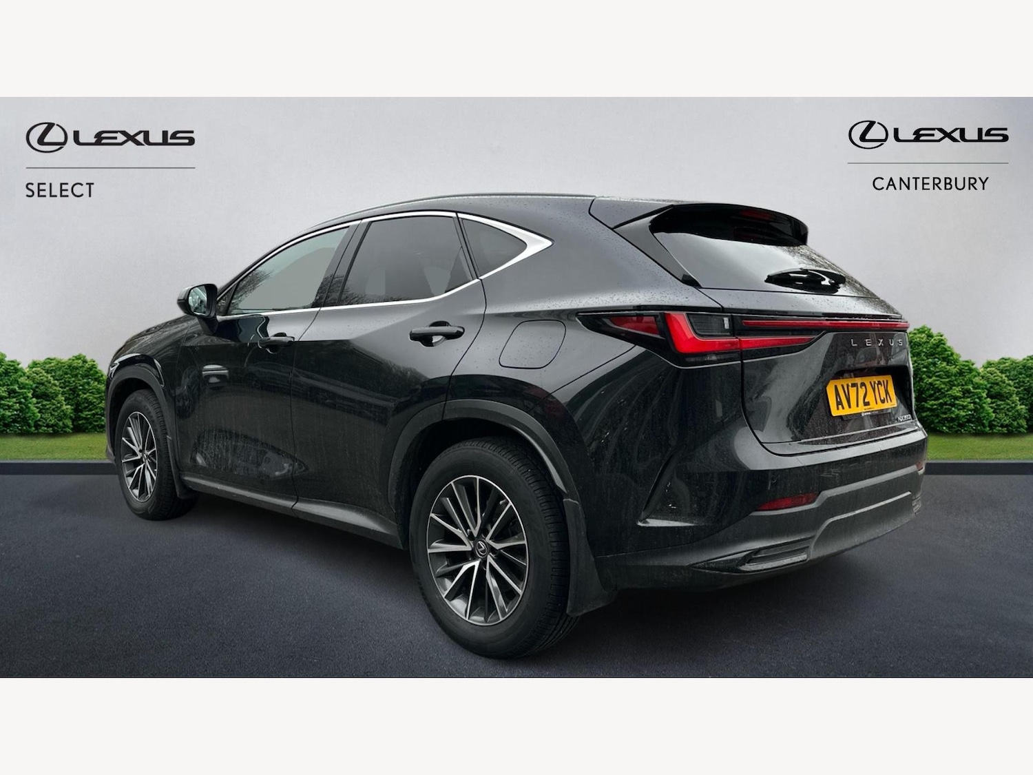Used Lexus NX 2023 for sale - 77351422: Photo 2