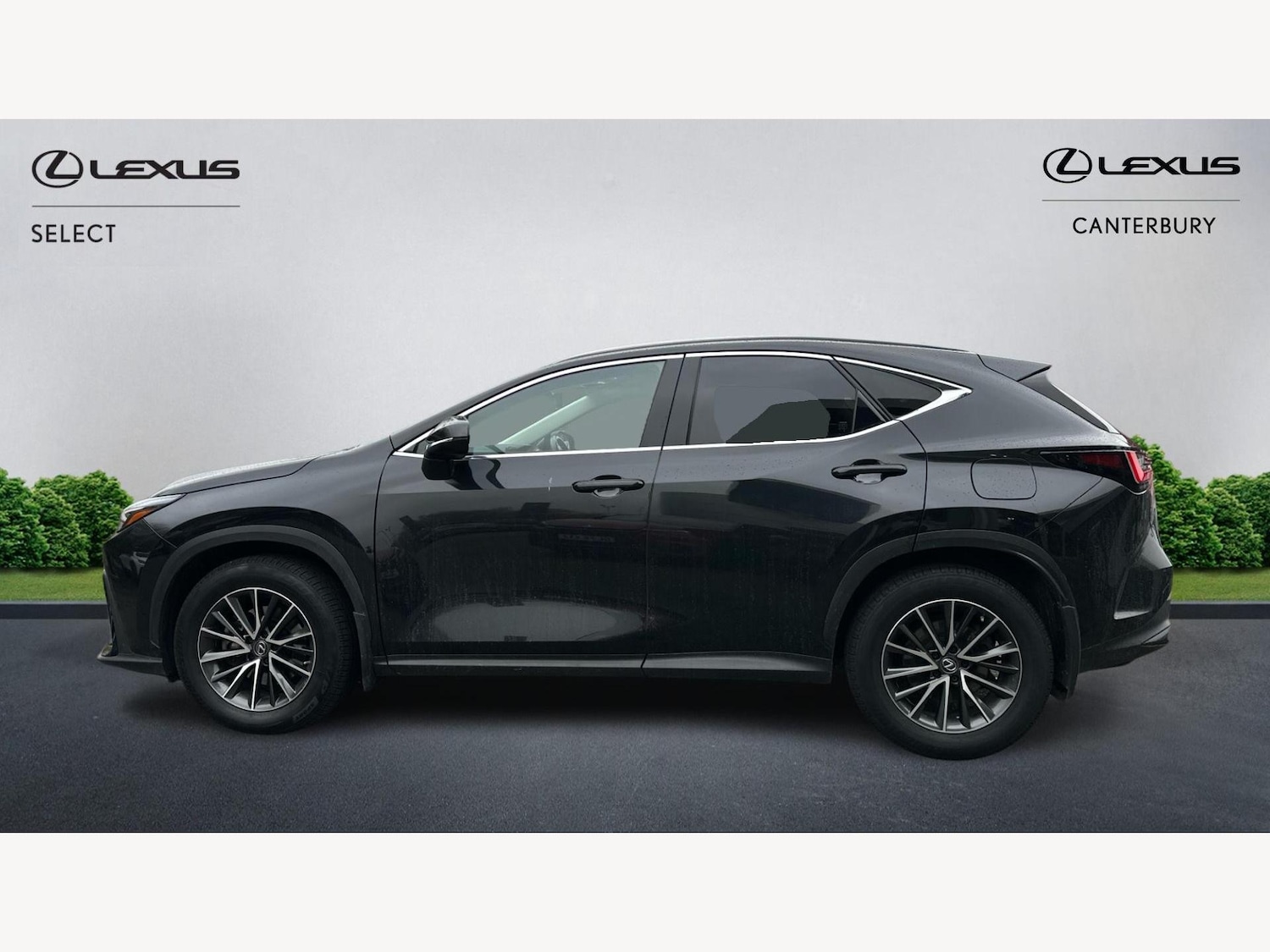 Used Lexus NX 2023 for sale - 77351422: Photo 3