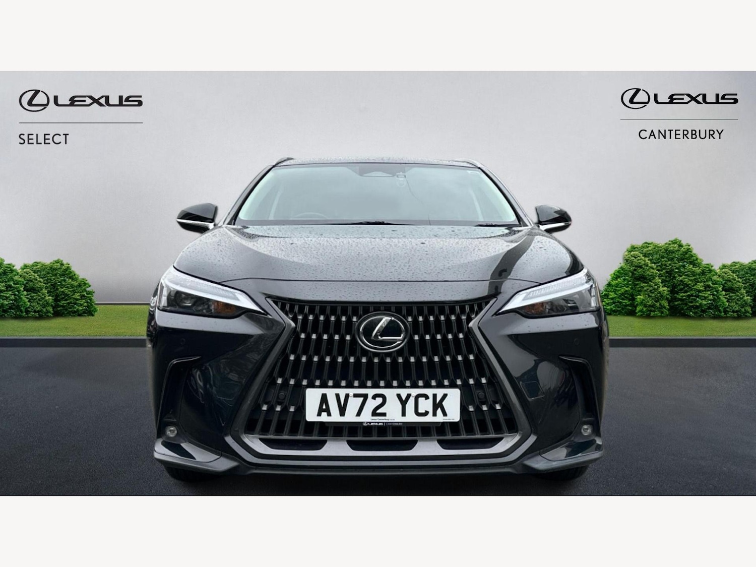 Used Lexus NX 2023 for sale - 77351422: Photo 6