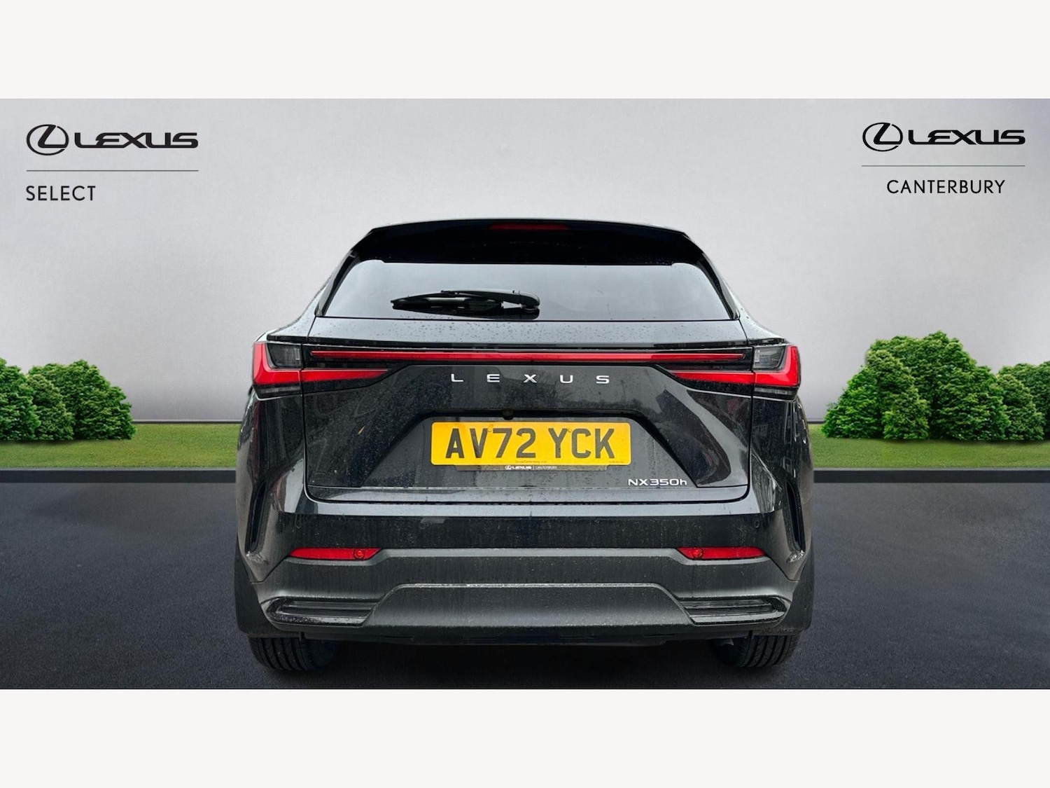 Used Lexus NX 2023 for sale - 77351422: Photo 7