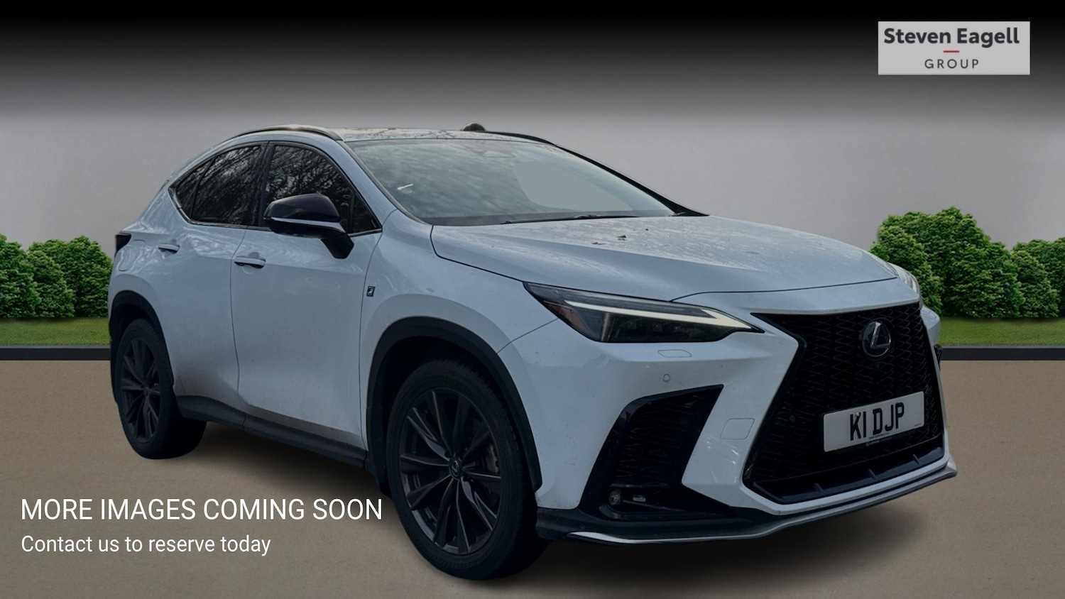 Used Lexus NX 2024 for sale - 77144613: Photo 1