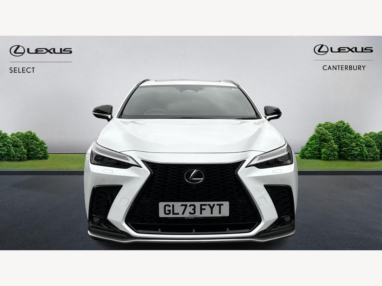 Used Lexus NX 2024 for sale - 77144613: Photo 6