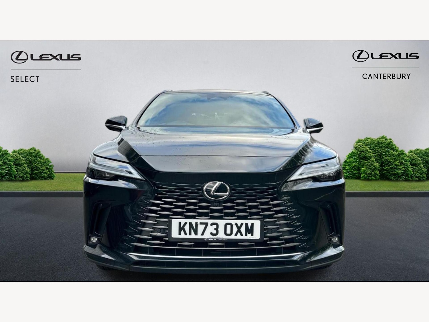 Used Lexus RX 2023 for sale - 76926038: Photo 6