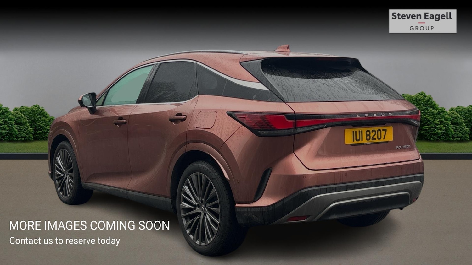 Used Lexus RX for sale - 77853616: Photo 2