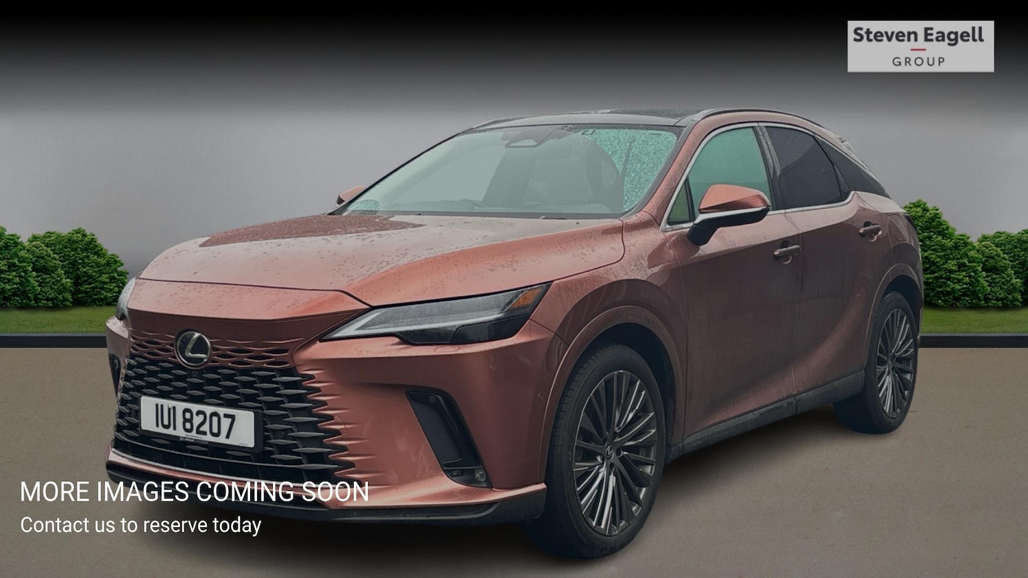 Used Lexus RX for sale - 77853616: Photo 3