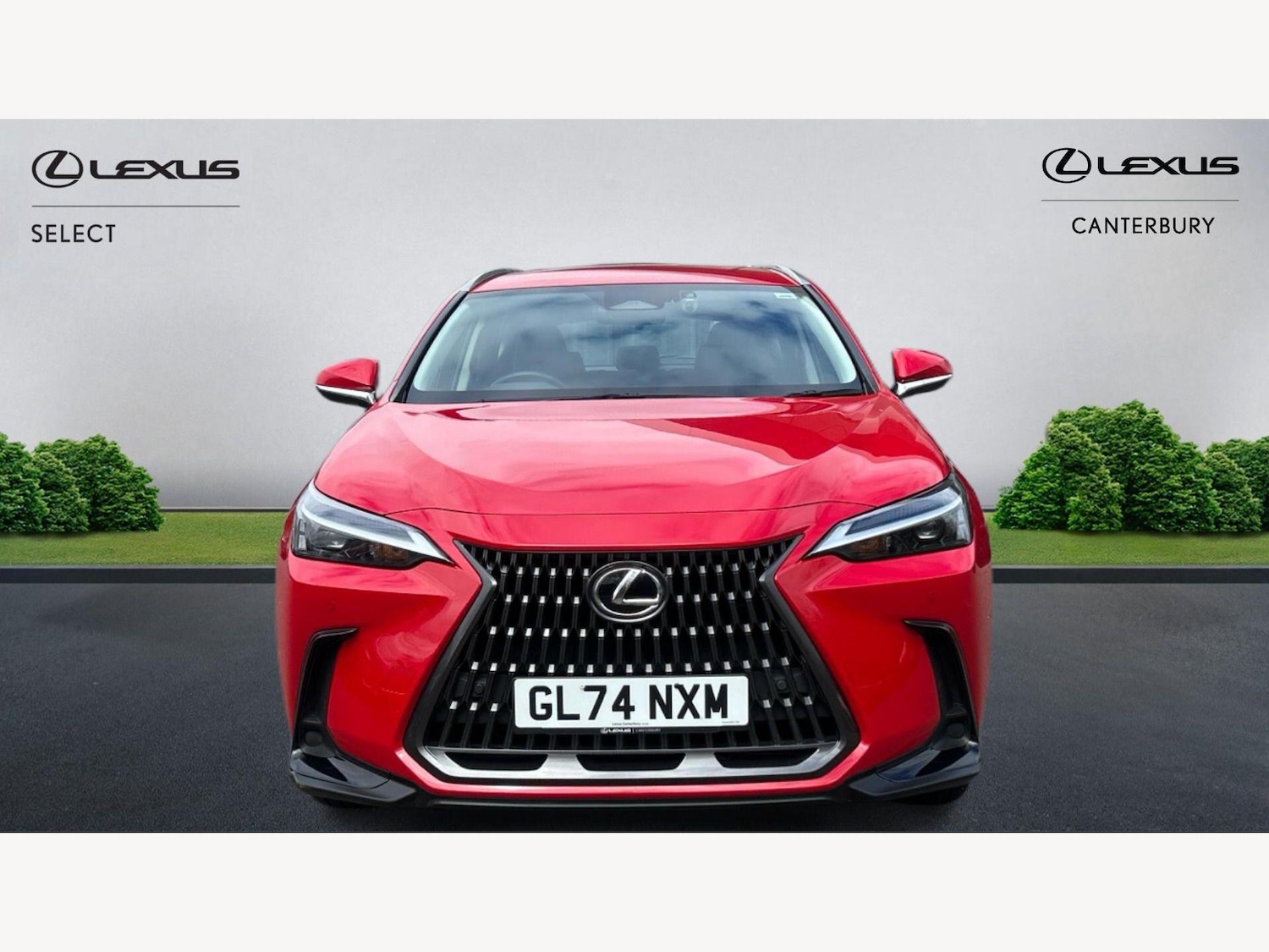 Used Lexus NX 2024 for sale - 78128220: Photo 6