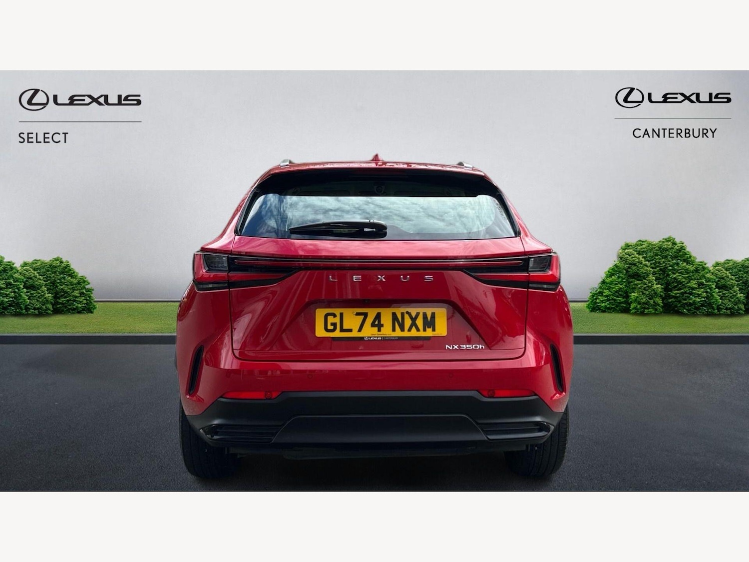 Used Lexus NX 2024 for sale - 78128220: Photo 7