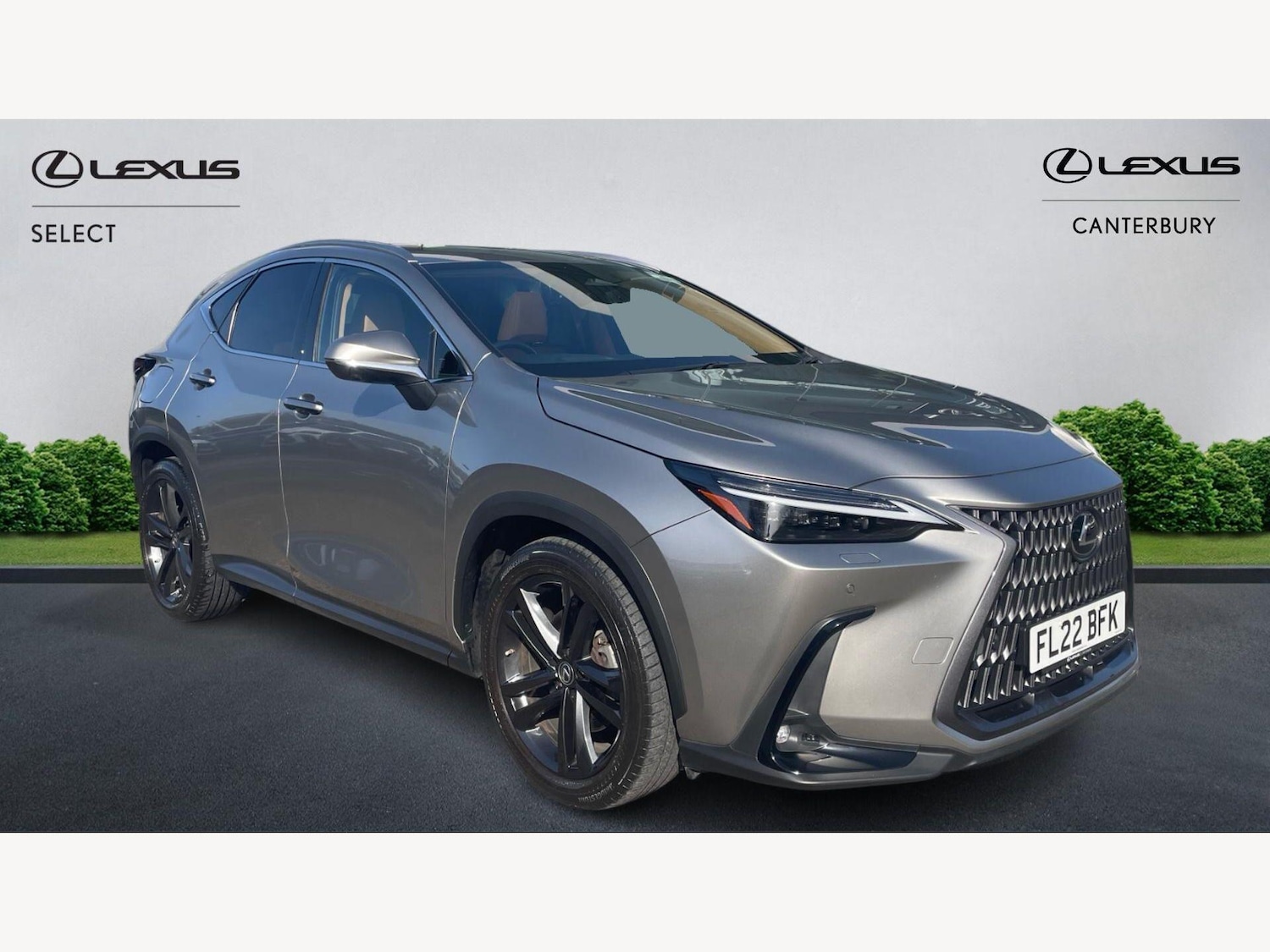 Used Lexus NX 2022 for sale - 77684258: Photo 1