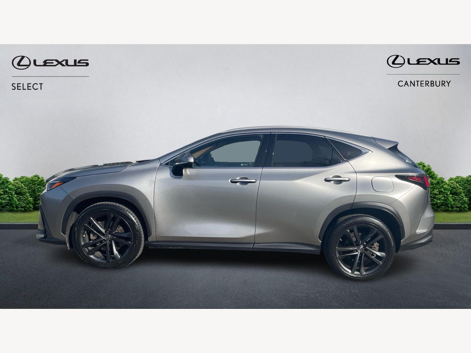 Used Lexus NX 2022 for sale - 77684258: Photo 3