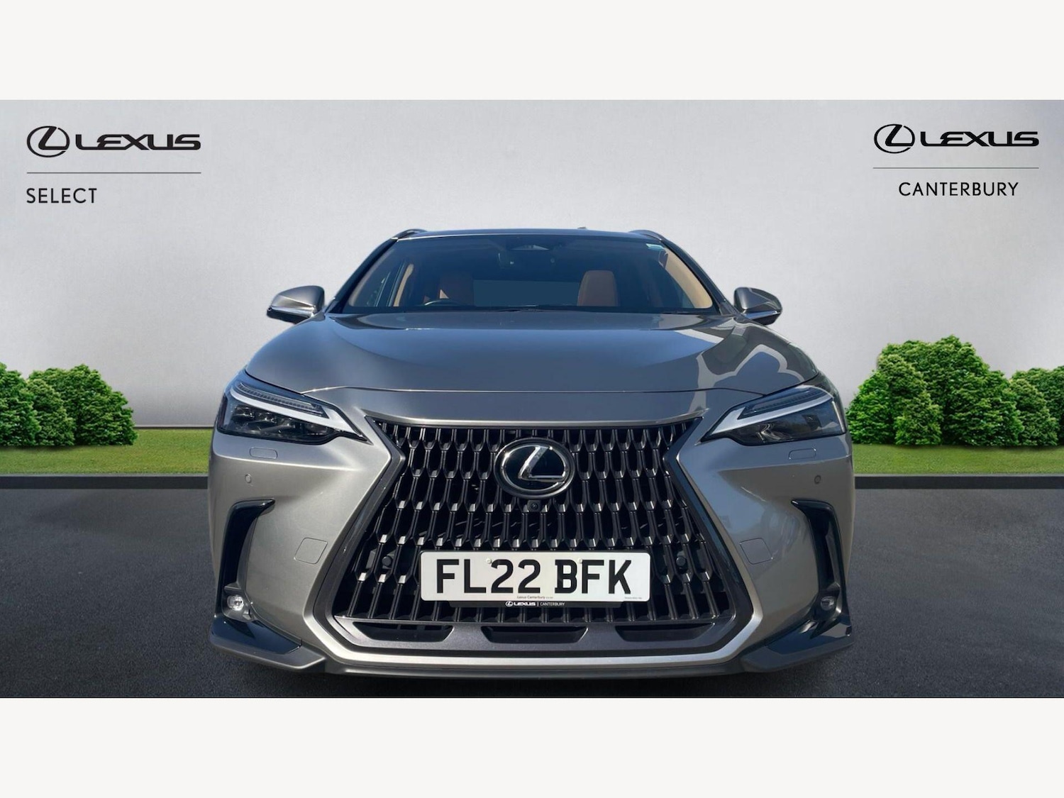 Used Lexus NX 2022 for sale - 77684258: Photo 6