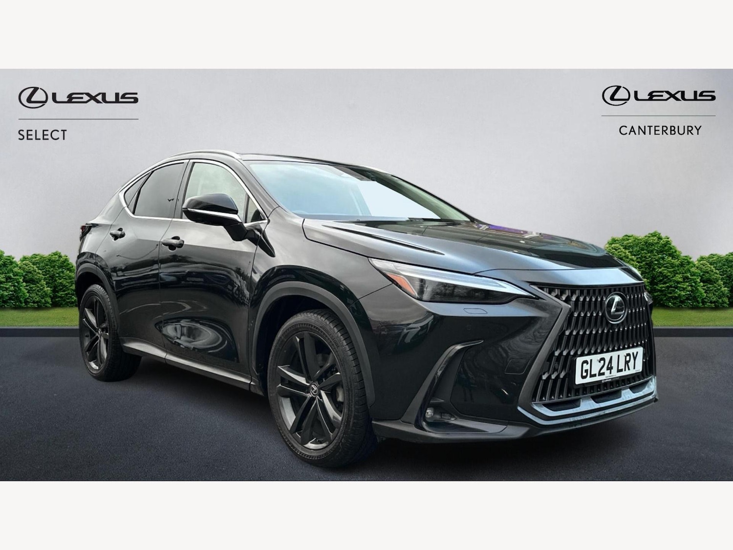 Used Lexus NX 2024 for sale - 77143431: Photo 1