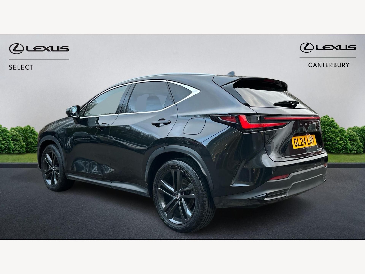 Used Lexus NX 2024 for sale - 77143431: Photo 2