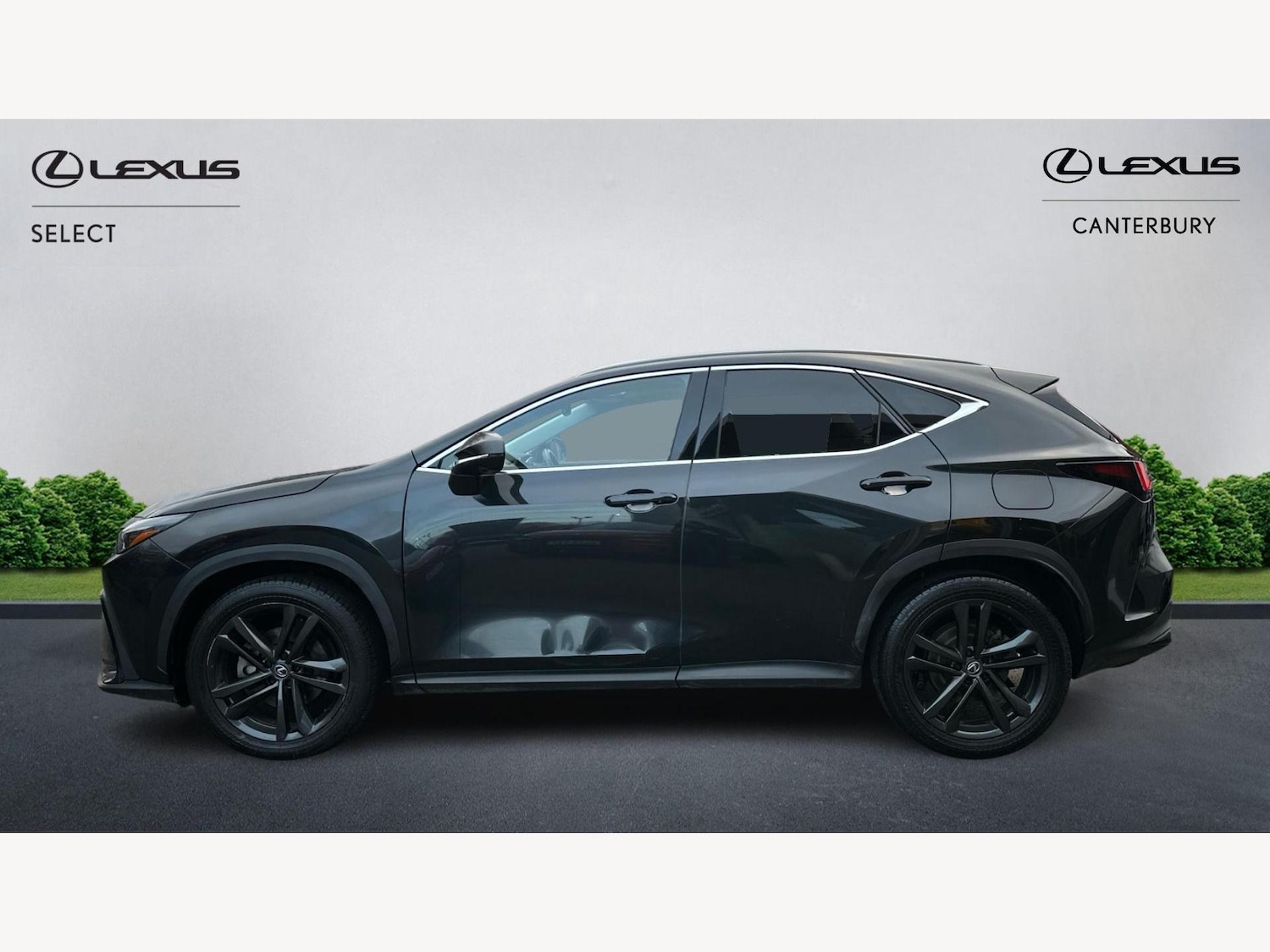 Used Lexus NX 2024 for sale - 77143431: Photo 3