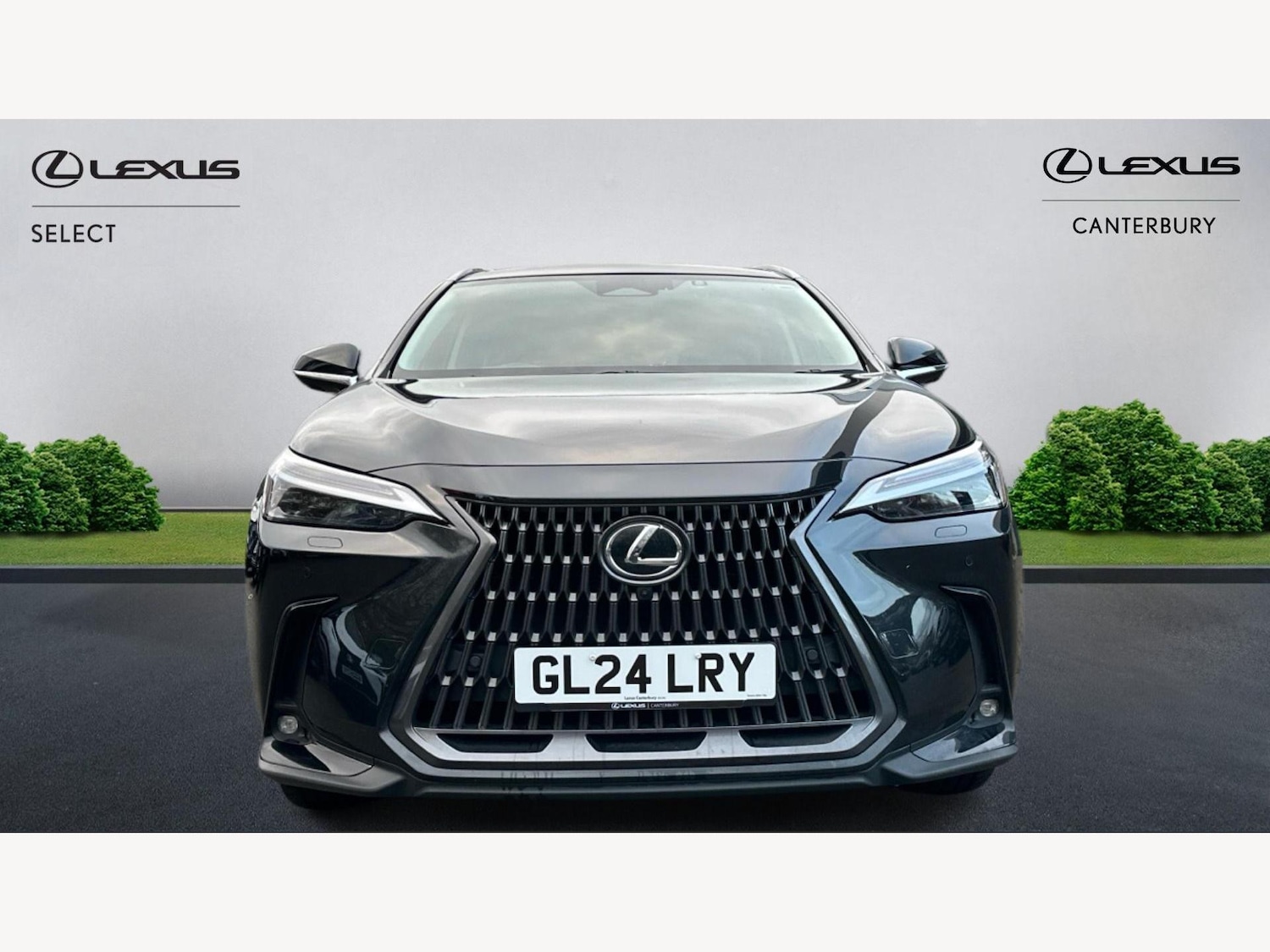 Used Lexus NX 2024 for sale - 77143431: Photo 6