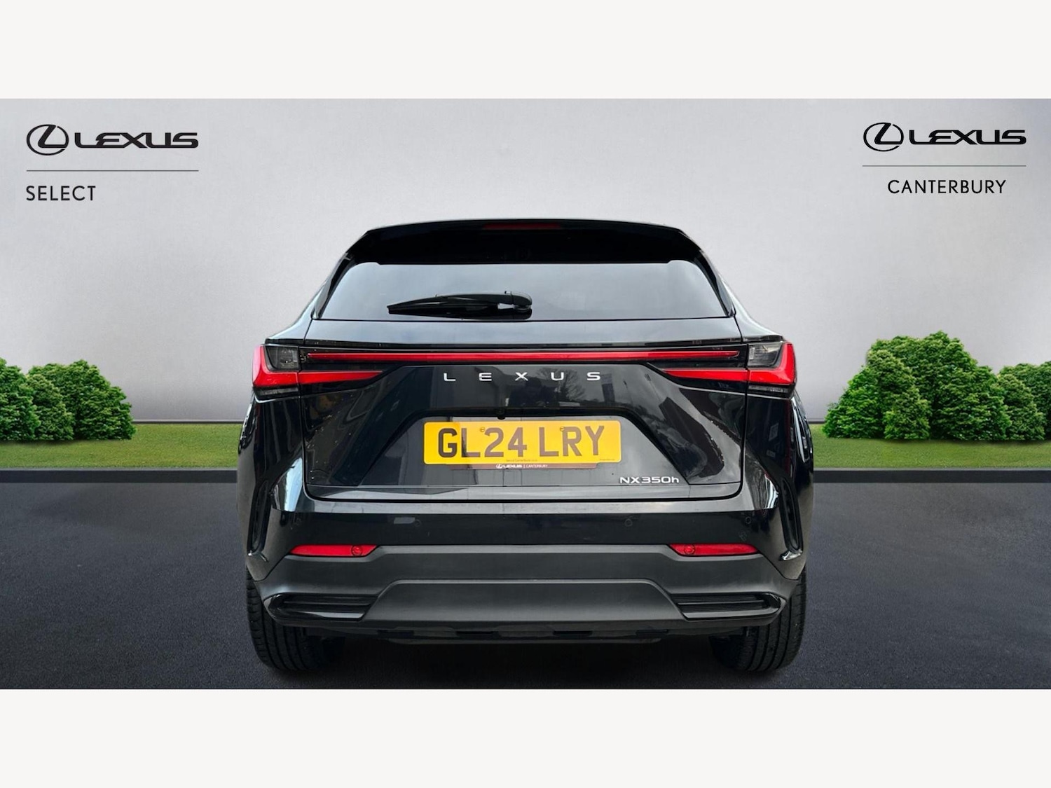 Used Lexus NX 2024 for sale - 77143431: Photo 7