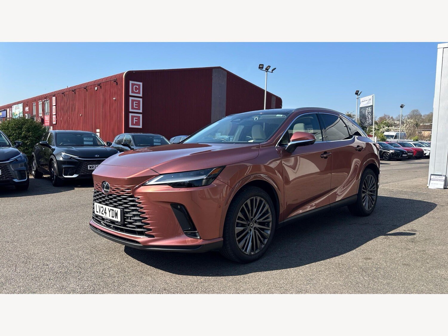 Used Lexus RX for sale - 77969974: Photo 19