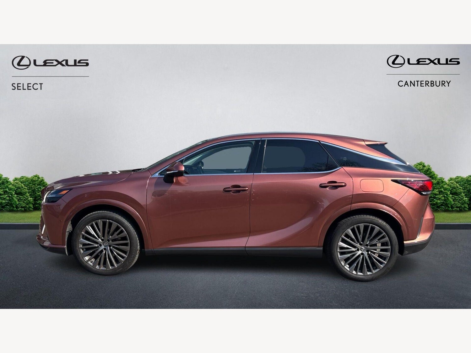 Used Lexus RX for sale - 77969974: Photo 3