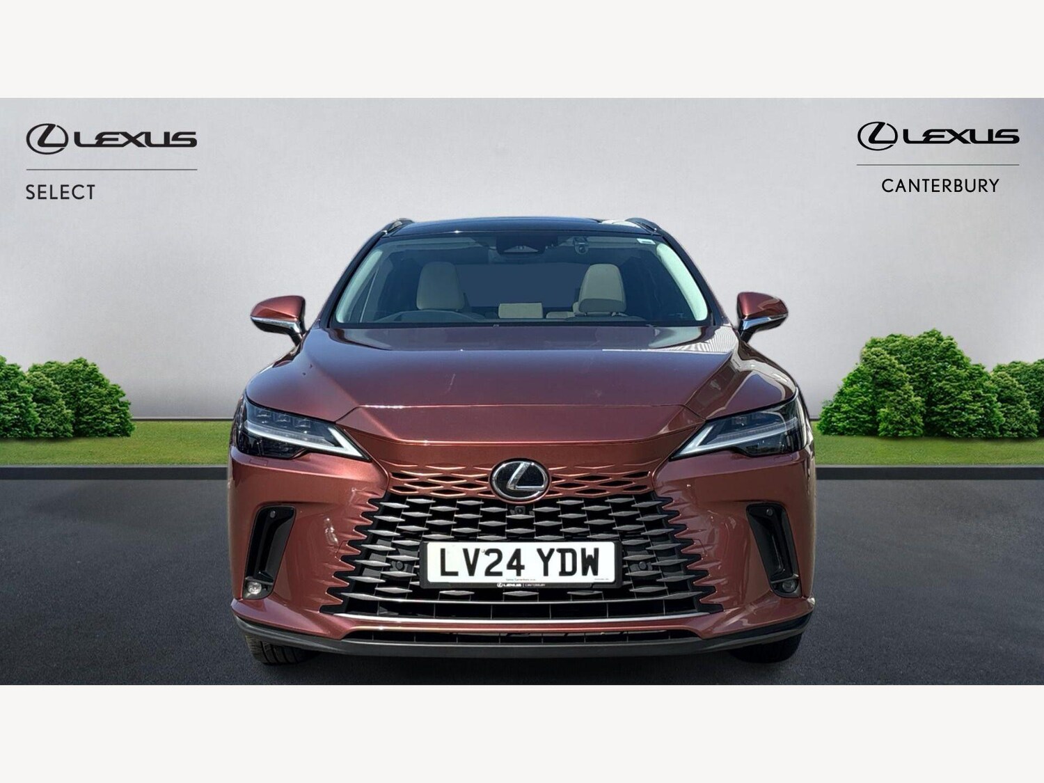 Used Lexus RX for sale - 77969974: Photo 6