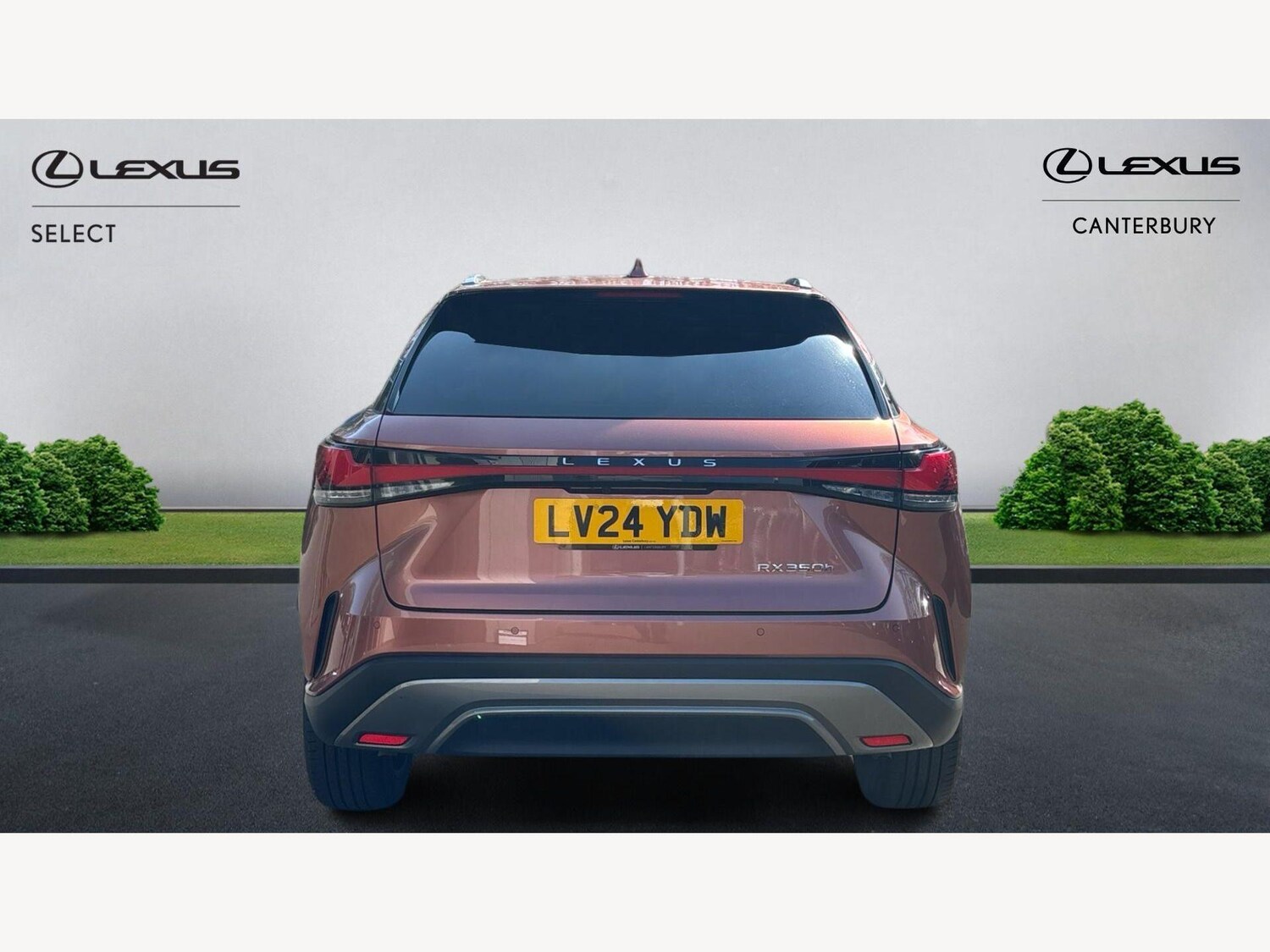 Used Lexus RX for sale - 77969974: Photo 7