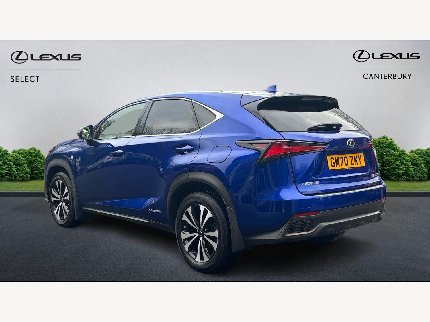 Used Lexus NX 2020 for sale - 77538017: Photo 2