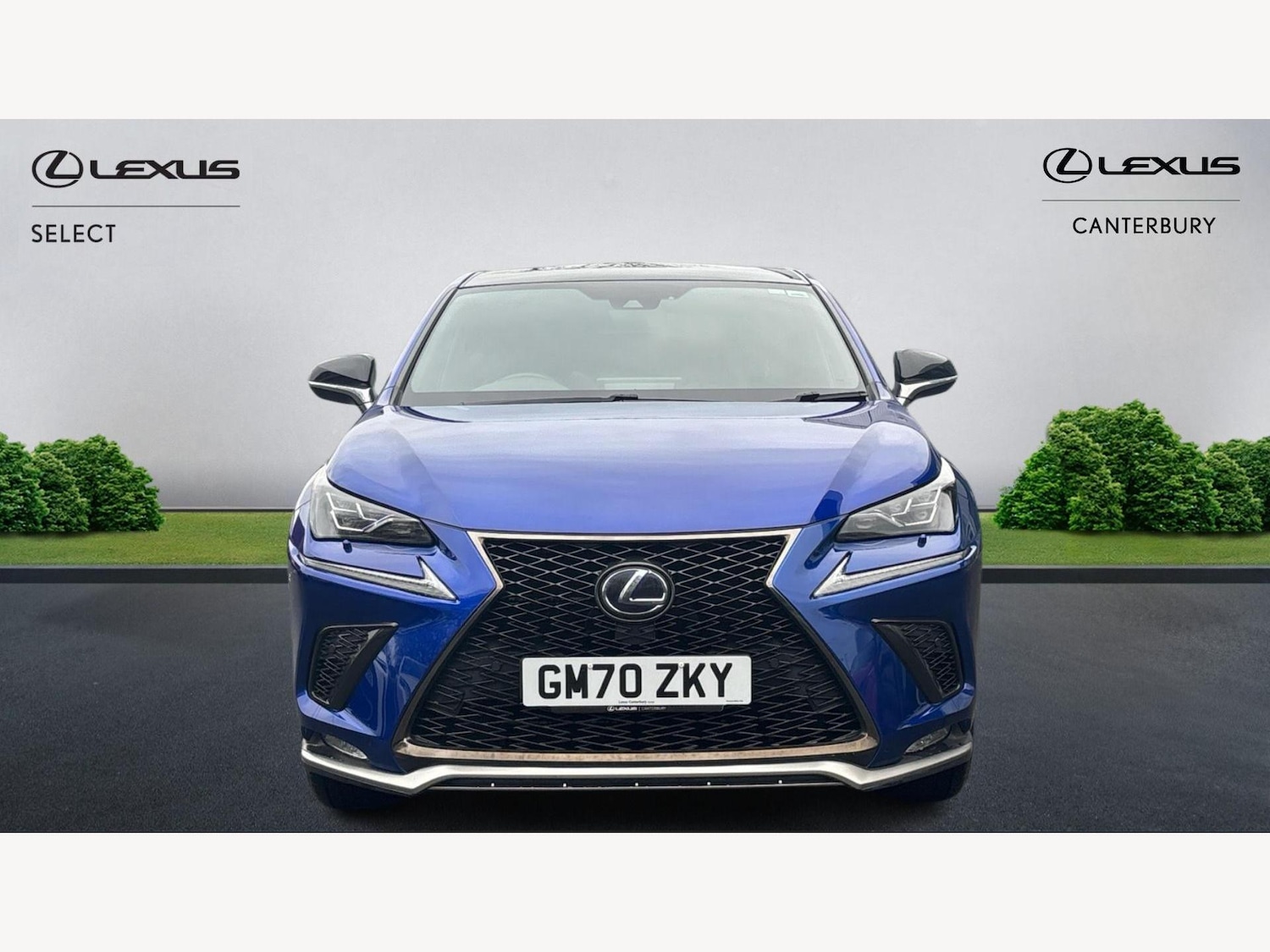 Used Lexus NX 2020 for sale - 77538017: Photo 6
