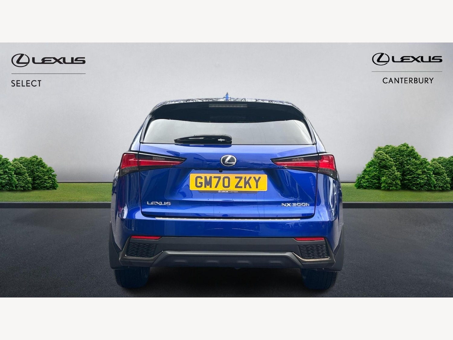 Used Lexus NX 2020 for sale - 77538017: Photo 7