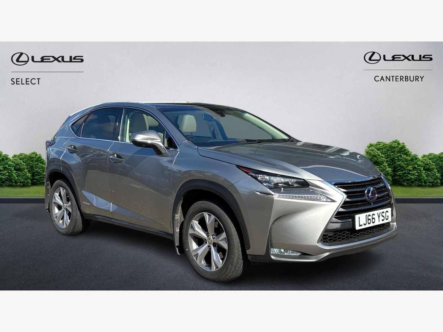 Used Lexus NX 2016 for sale - 76060632: Photo 1