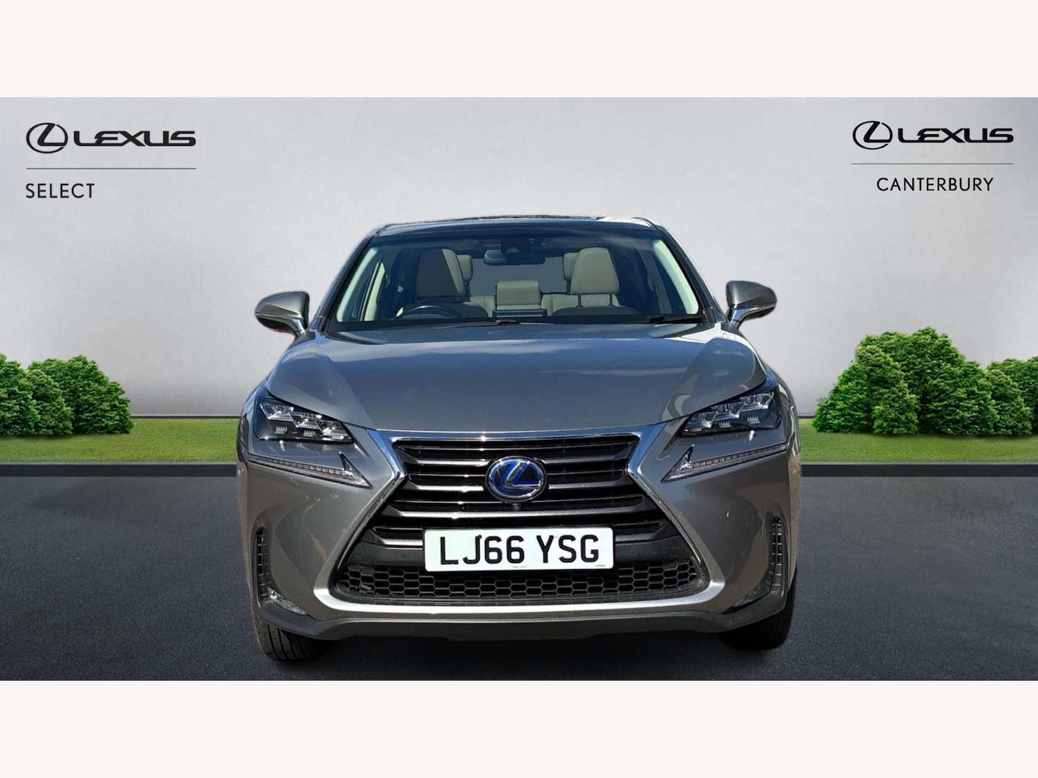 Used Lexus NX 2016 for sale - 76060632: Photo 6