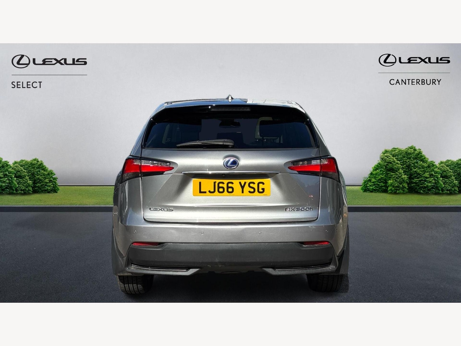 Used Lexus NX 2016 for sale - 76060632: Photo 7