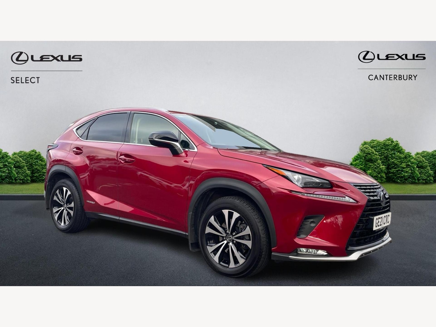 Used Lexus NX 2021 for sale - 76666896: Photo 1