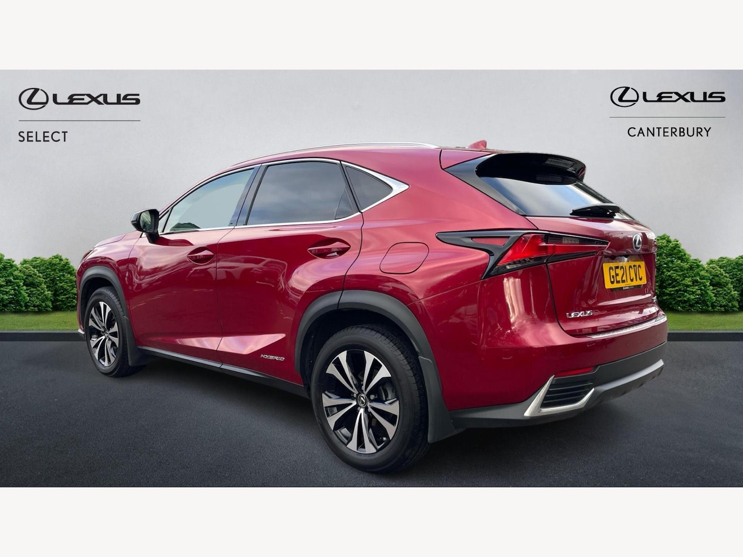 Used Lexus NX 2021 for sale - 76666896: Photo 2