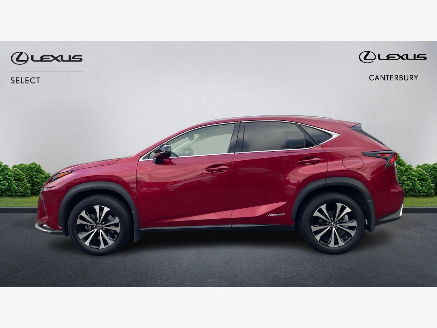 Used Lexus NX 2021 for sale - 76666896: Photo 3