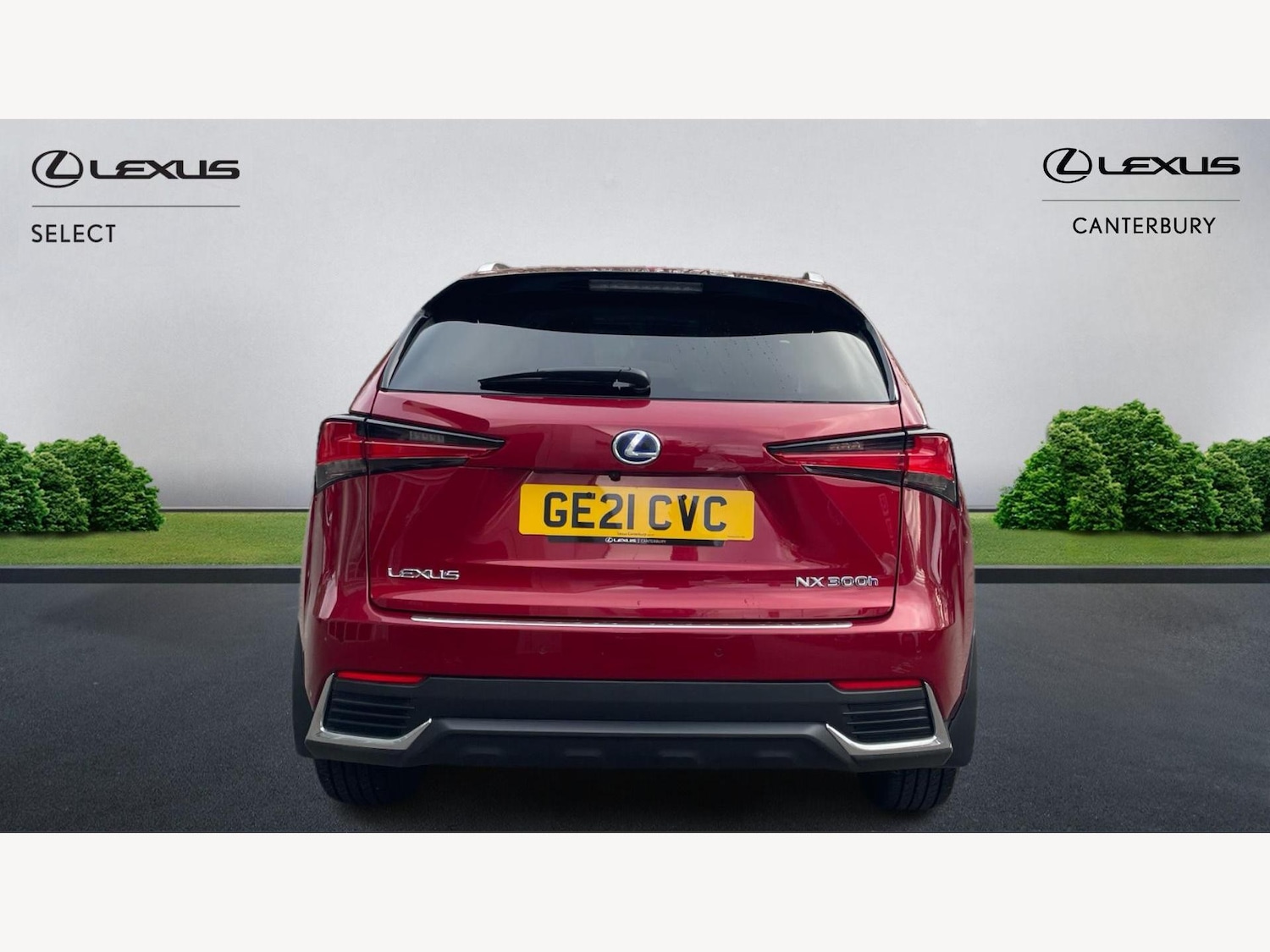 Used Lexus NX 2021 for sale - 76666896: Photo 7