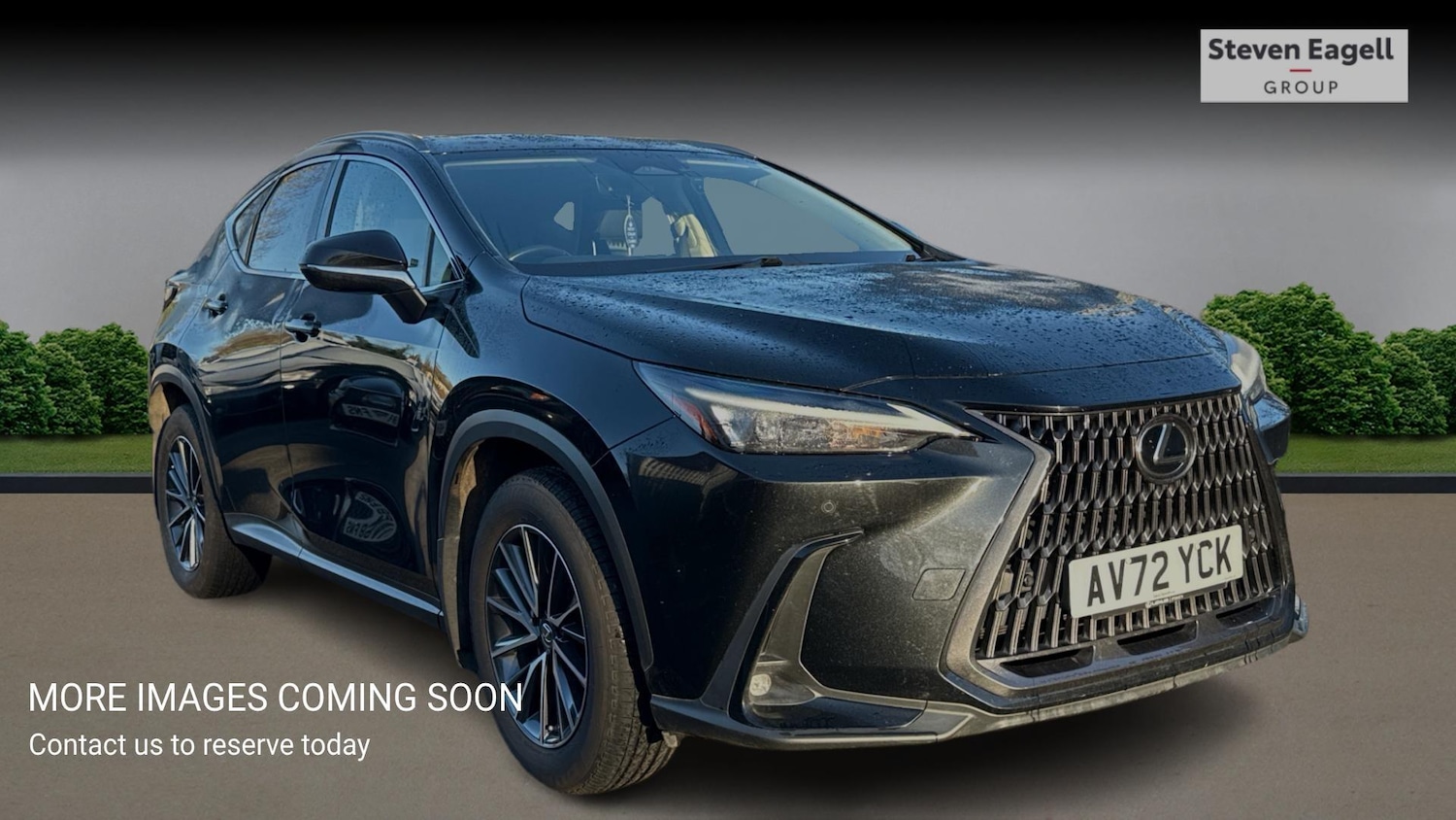 Used Lexus NX for sale - 77175956: Photo 1