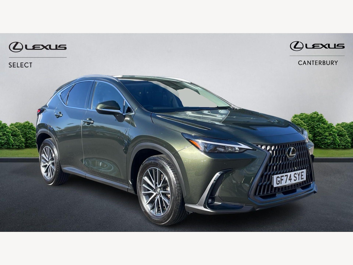 Used Lexus NX for sale - 78136289: Photo 1