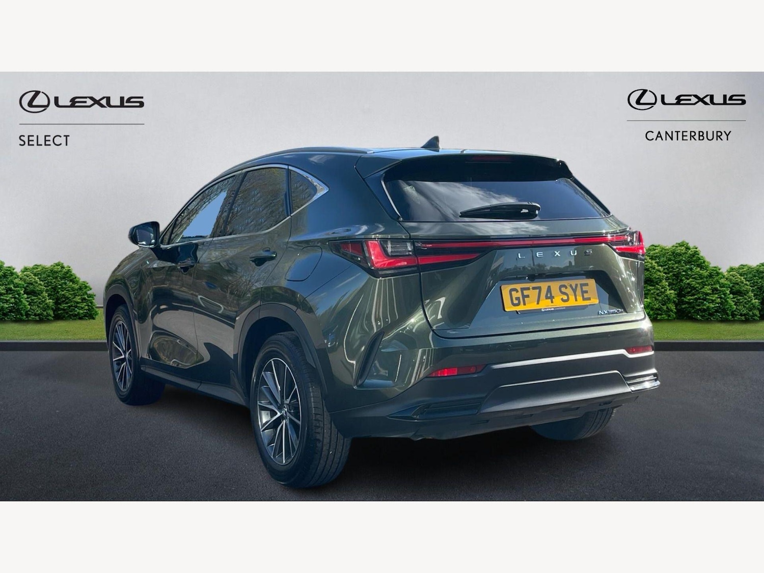 Used Lexus NX for sale - 78136289: Photo 2