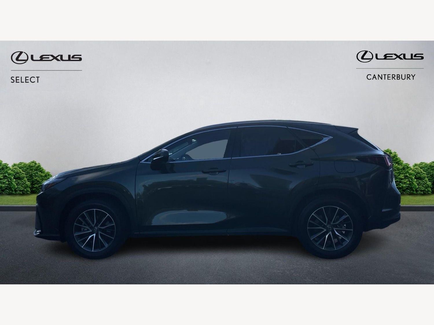 Used Lexus NX for sale - 78136289: Photo 5