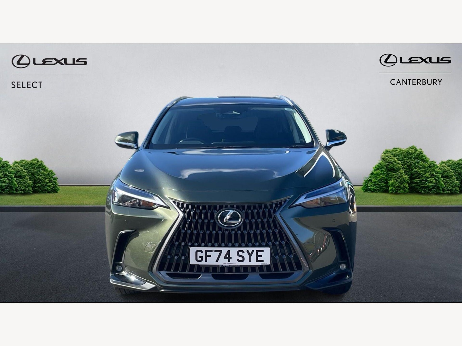 Used Lexus NX for sale - 78136289: Photo 6