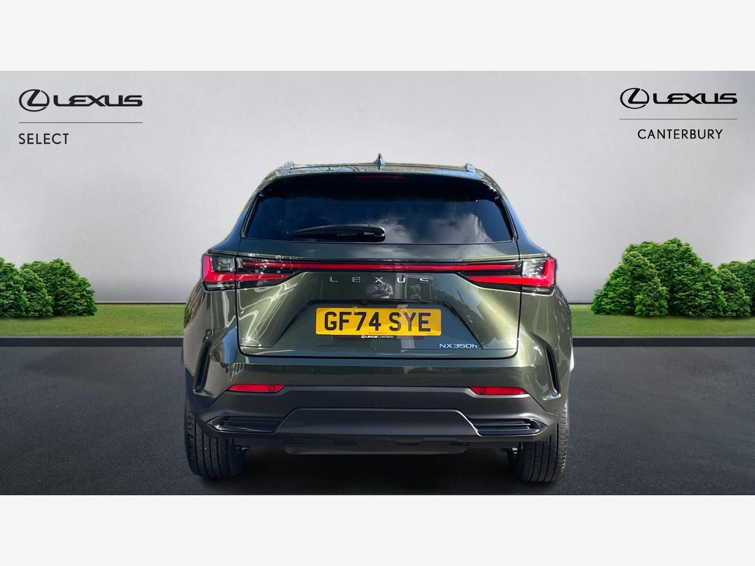 Used Lexus NX for sale - 78136289: Photo 7