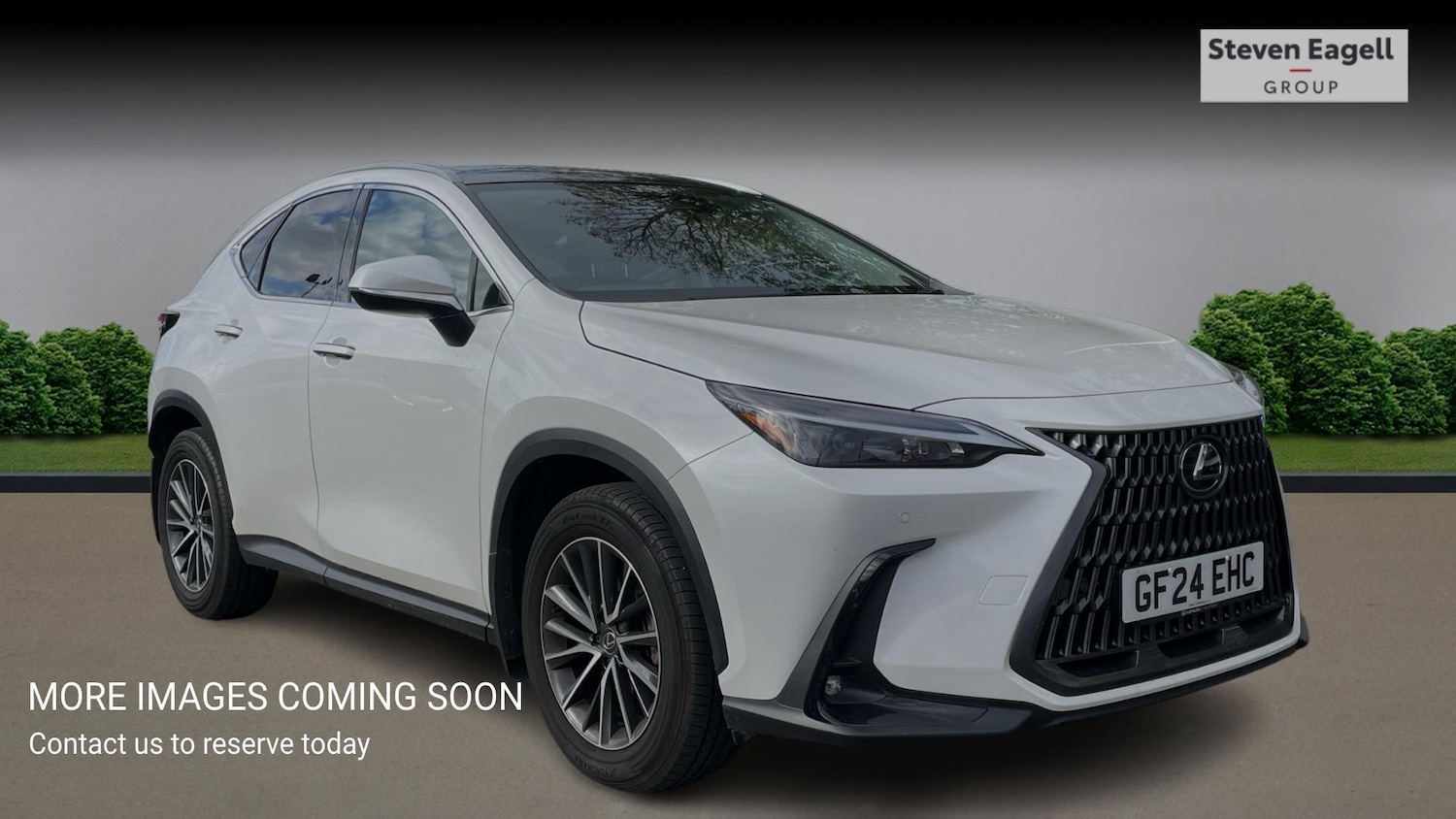 Used Lexus NX 2024 for sale - 76688746: Photo 1