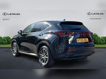 Used Lexus NX 2025 for sale - 78184765: Photo