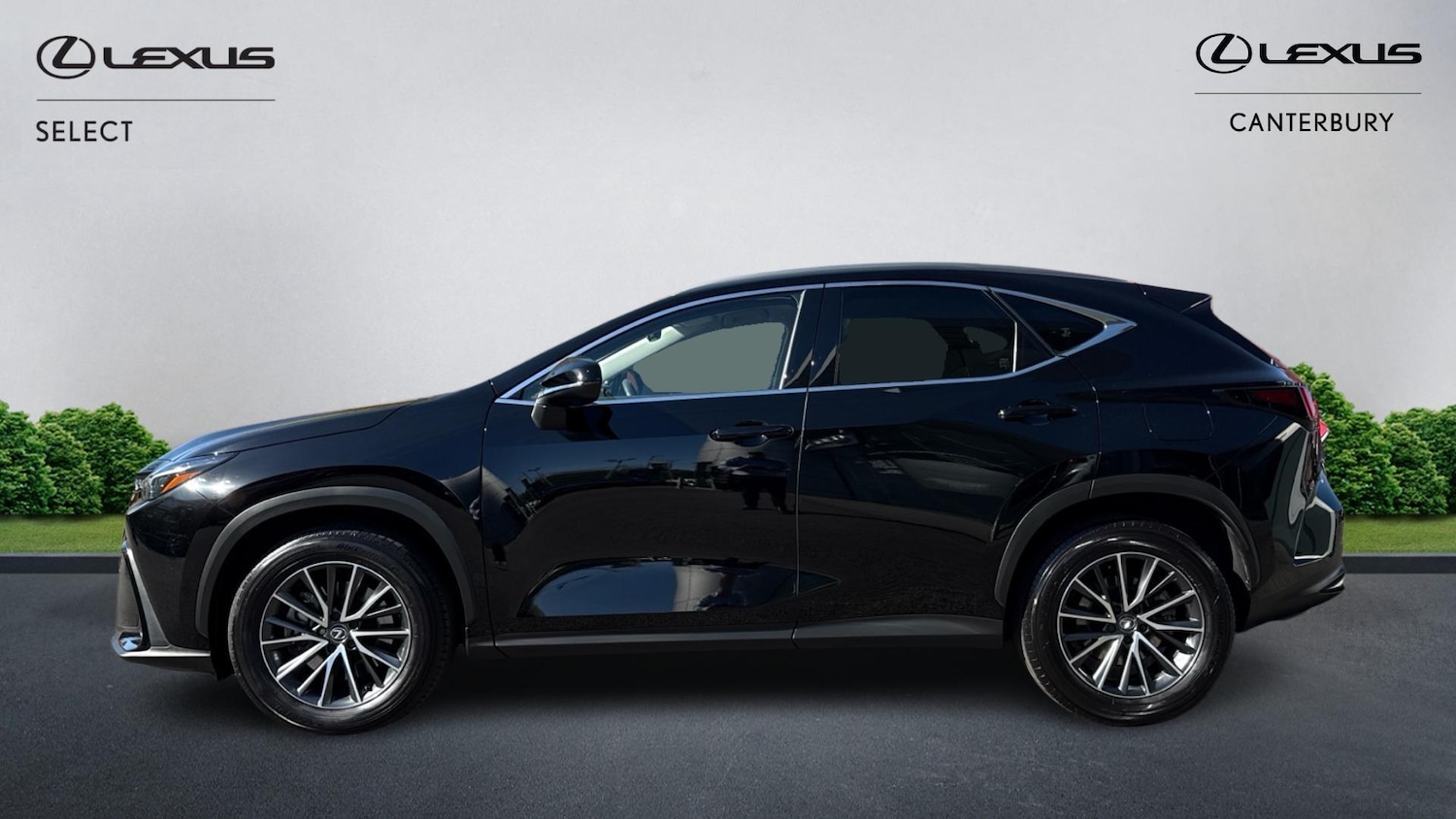 Used Lexus NX 2025 for sale - 78184765: Photo 3