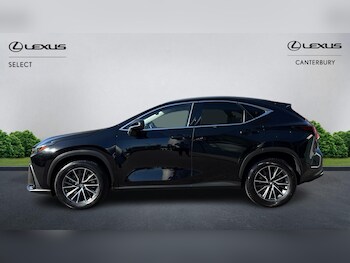 Used Lexus NX 2025 for sale - 78184765: Photo