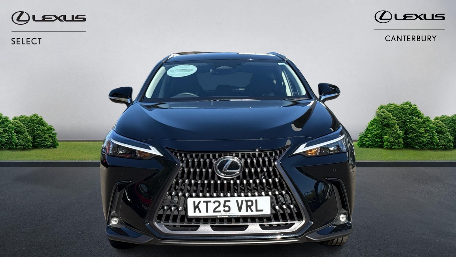 Used Lexus NX 2025 for sale - 78184765: Photo 4