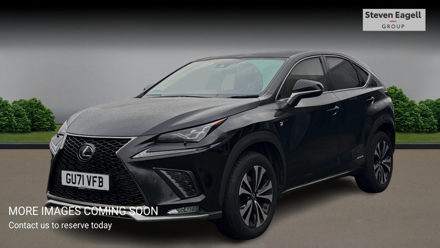 Used Lexus NX for sale - 77279315: Photo 3