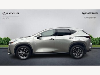 Used Lexus NX 2025 for sale - 77882932: Photo